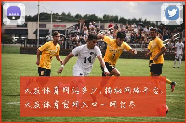 大发体育网站多少,揭秘网络平台,大发体育官网入口一网打尽